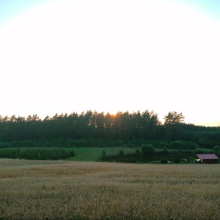 Agroturystyka U Kasi Suryty Extérieur photo
