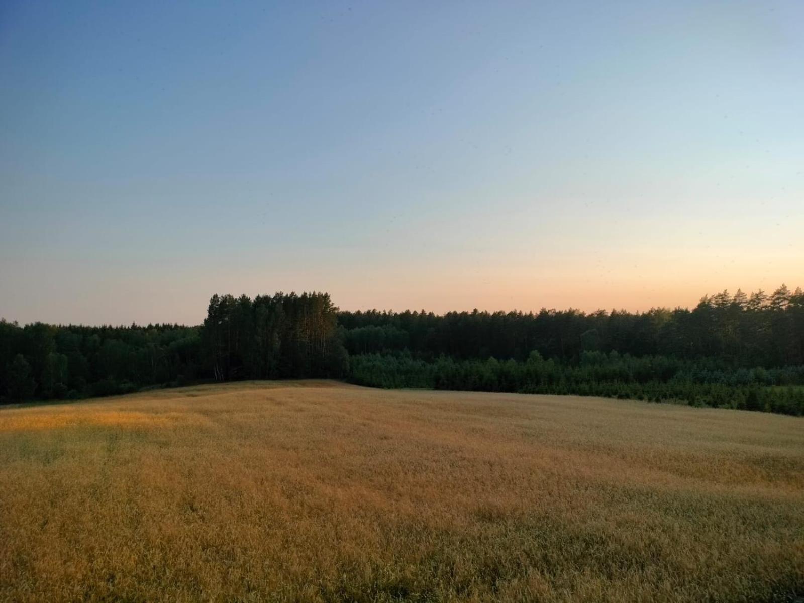 Agroturystyka U Kasi Suryty Extérieur photo
